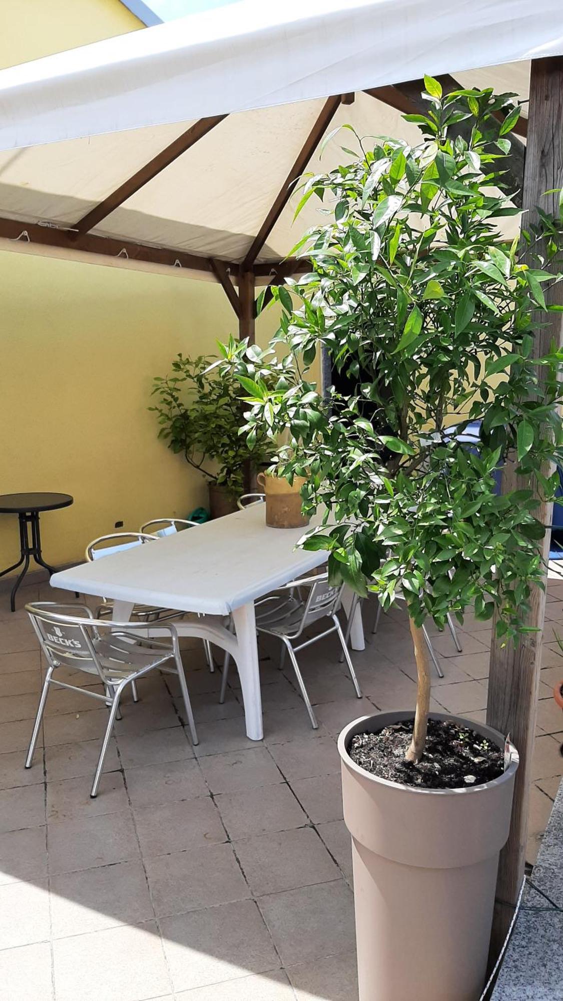 Il Ragno D'Oro Apartment โร ภายนอก รูปภาพ